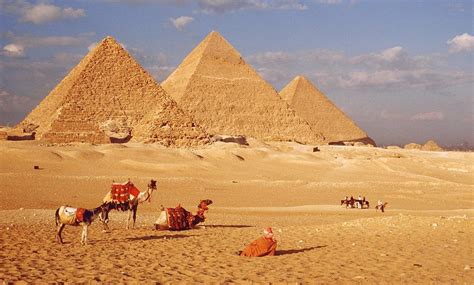 cairo bus tours|THE 10 BEST Cairo Bus Tours (Updated 2023) .